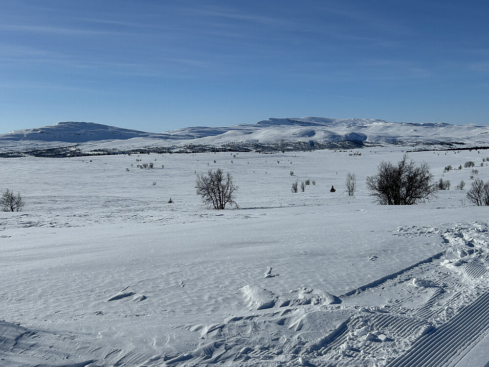 Mot Nontjønnskampen og N,Langsua