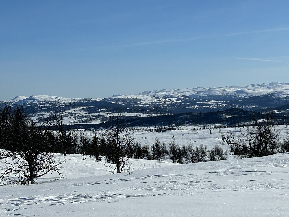 Utsikt fra Vetafjellet rundt løypa. Dokkampen og Ormtjernkampen til venstre