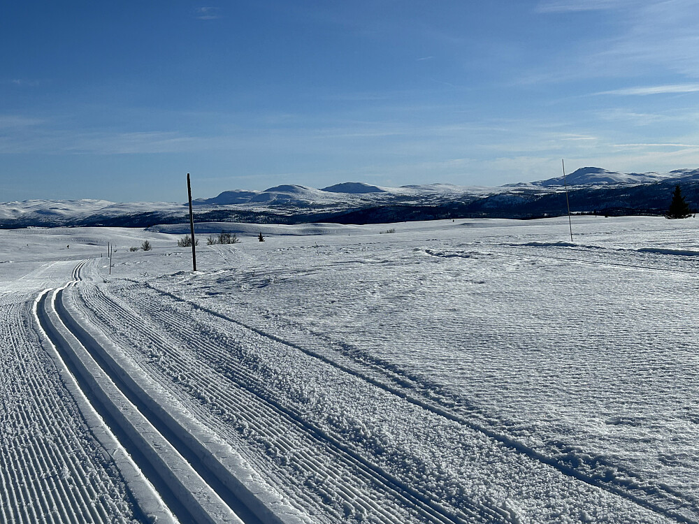 Røssjøkoller og Djuptjernkampen bak