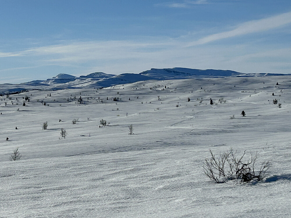 Skaget, Søre og Nordre Langsua fra Storhaugen