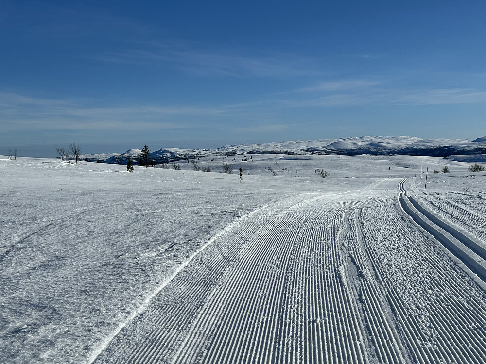 Utsikt innover Vestfjellet fra høyeste punkt på løypa til Bødalsnysetra
