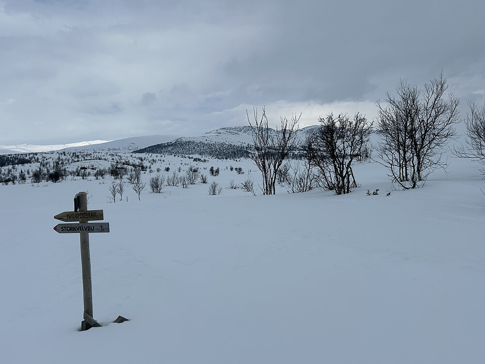 Ser bort på Leppehytta, der løypa til Nordbua og Storkvelvbu tar av. Leppkampen bak buskene.