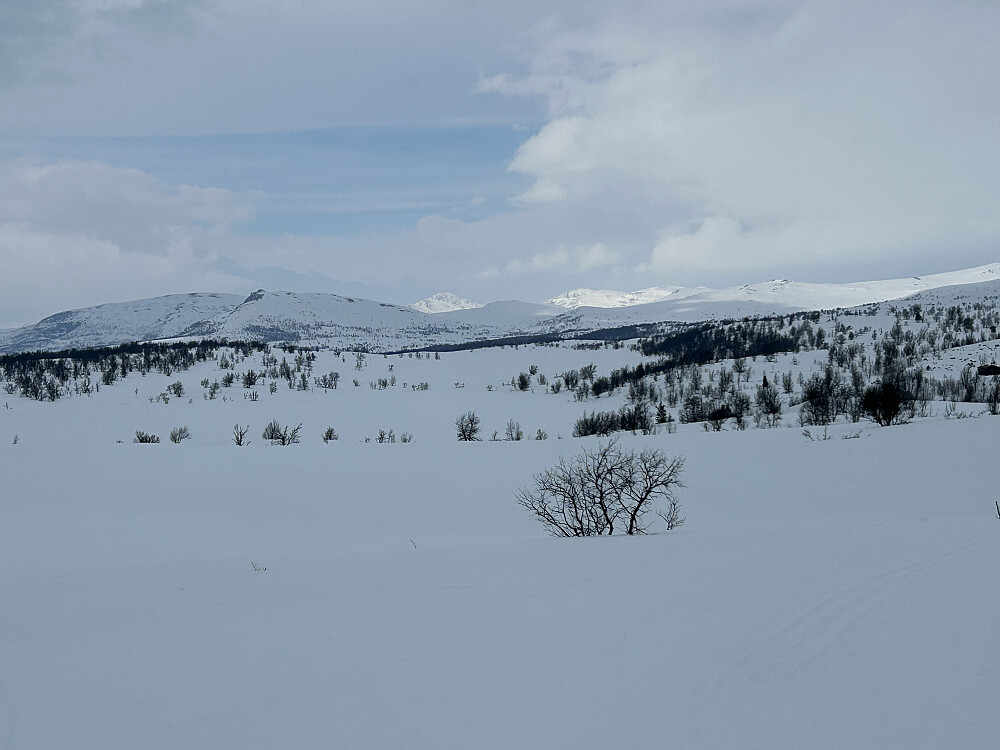 Krusgravkampen, Nordbukampen, Storhøpiggen og Megrundkamper sees bak
