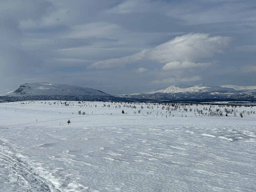 Ongsjøfjellet og Gråhøer