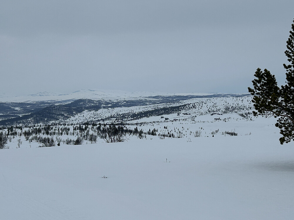 Ser tilbake på Nysetra
