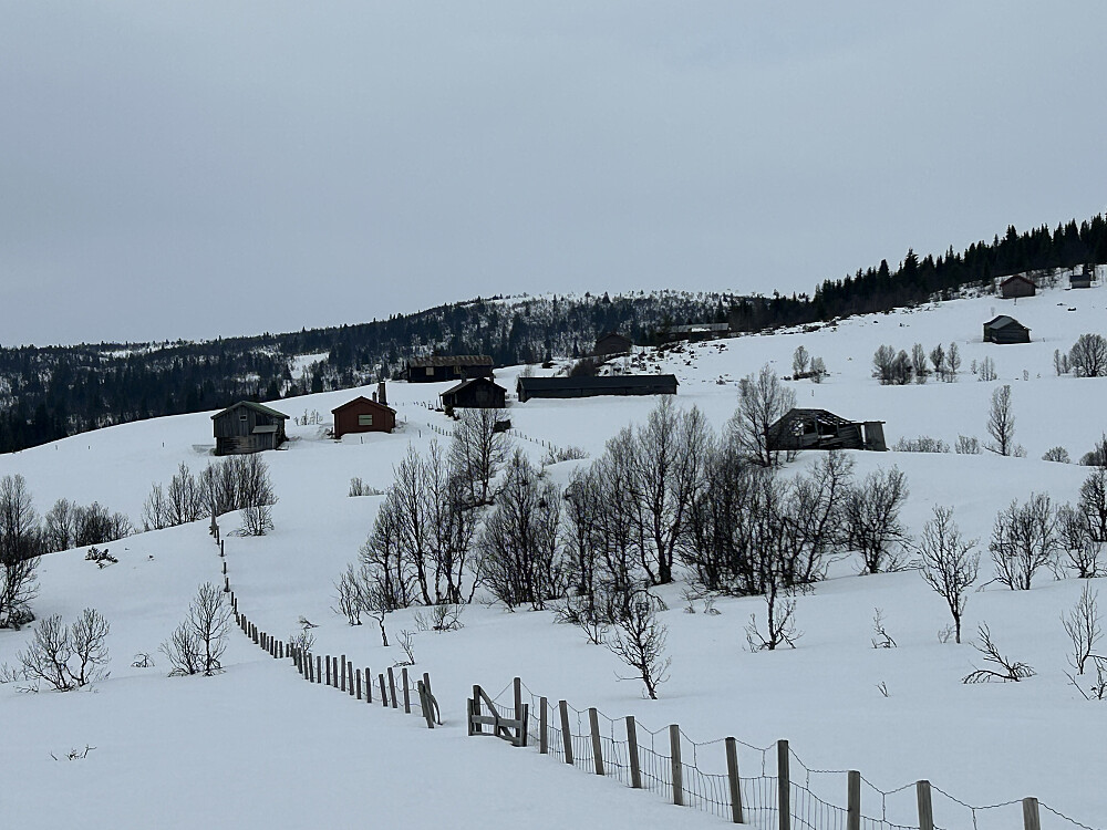 Ser tilbake på Hornsjøsetrene