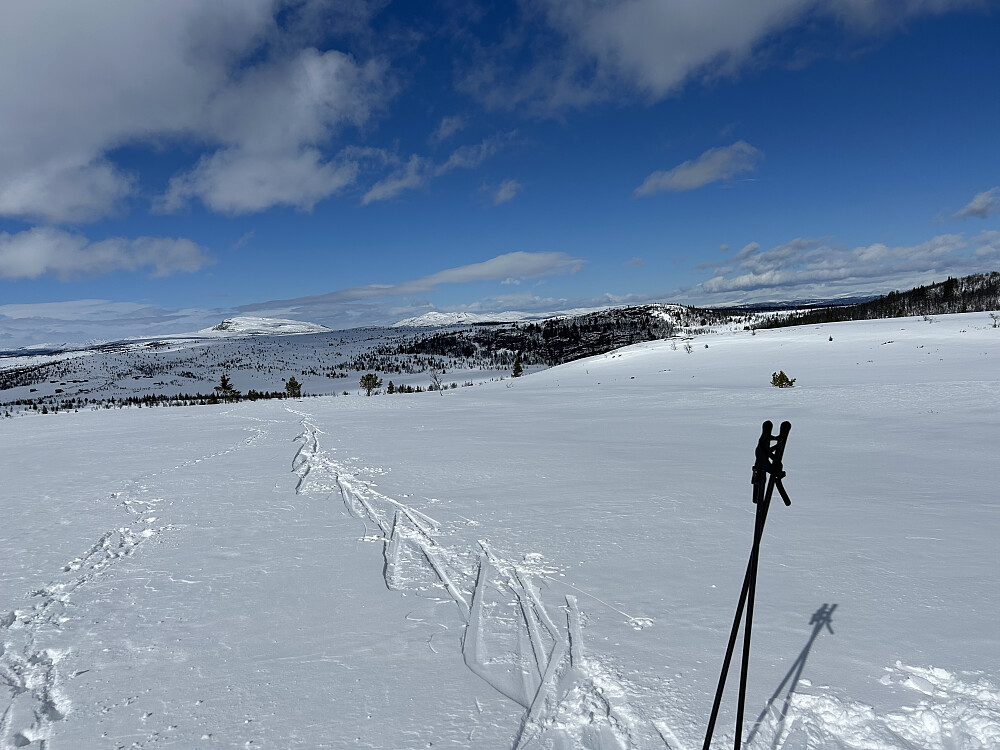 Søre Nyseterfjellet