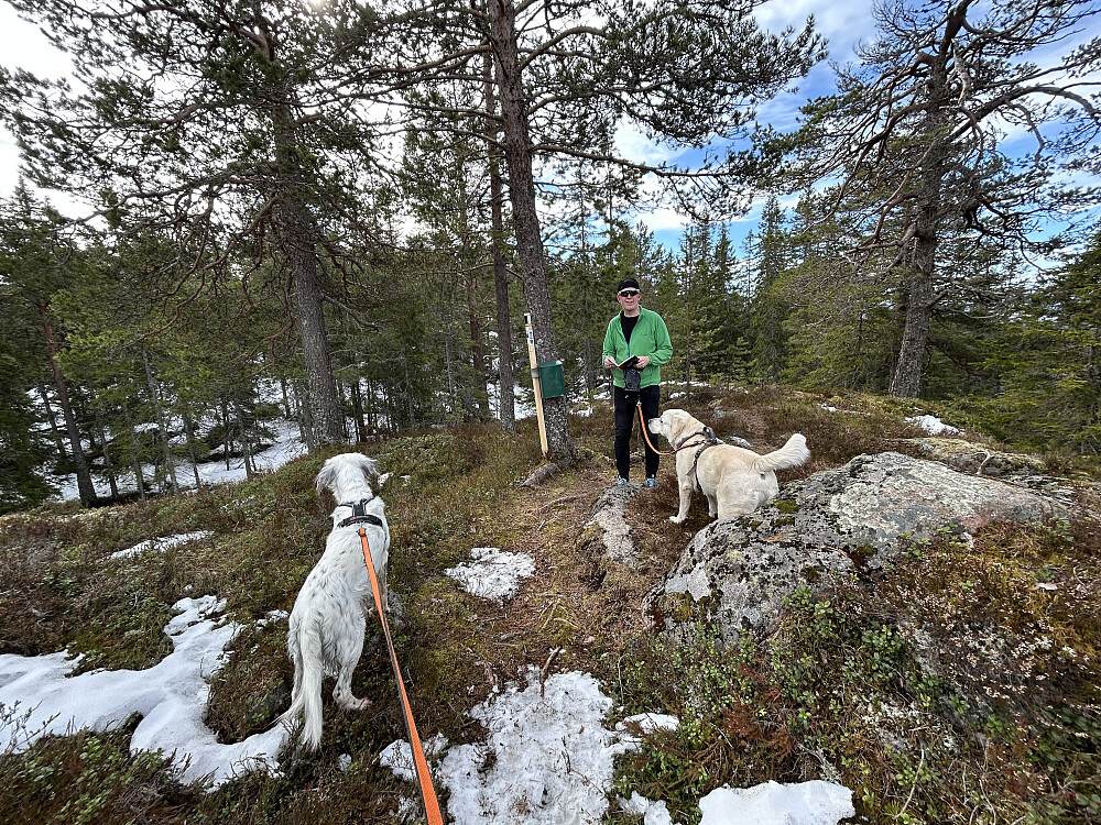 Anders, Storm og Trym