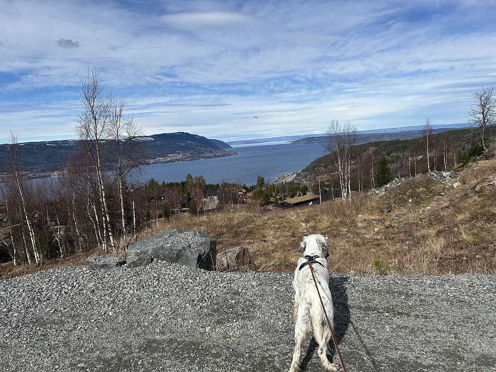 Fin utsikt til Mjøsa fra hyttefeltet