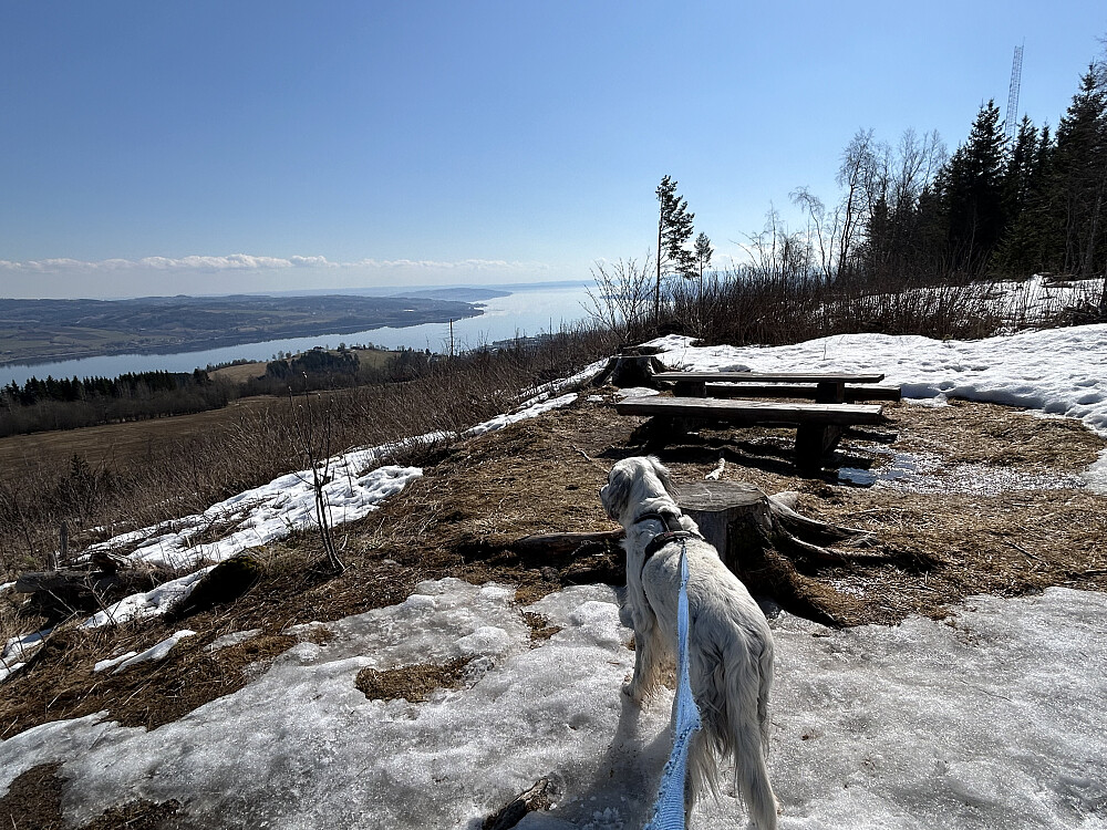 På toppen av "brattbakken"