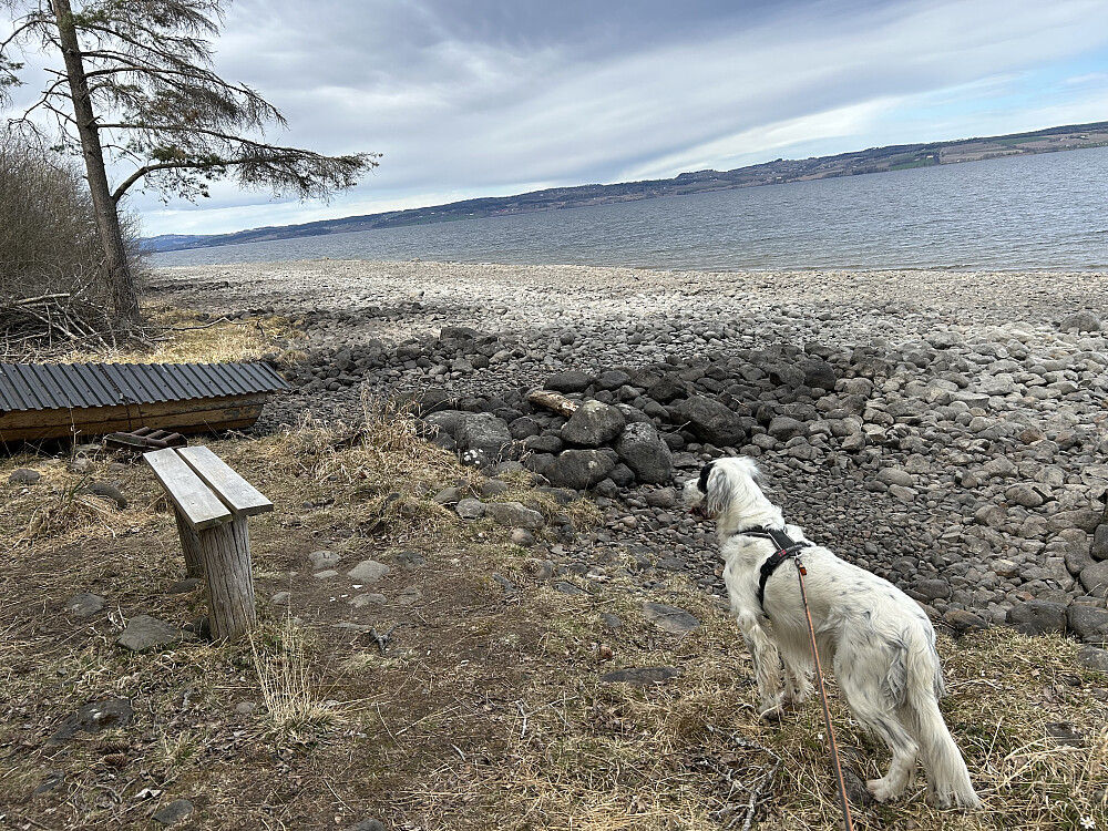 Langs Mjøsa
