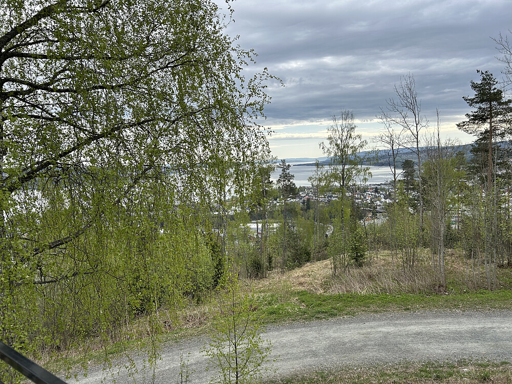 Hovdetoppen