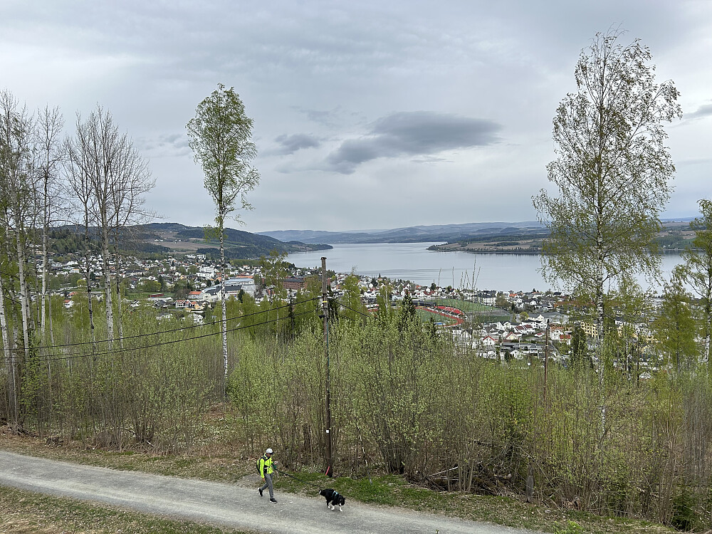 Hovdetoppen
