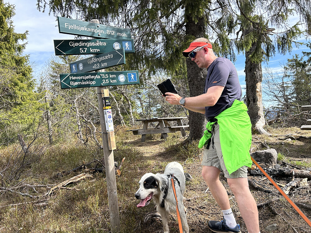 På Fjellsjøkampen
