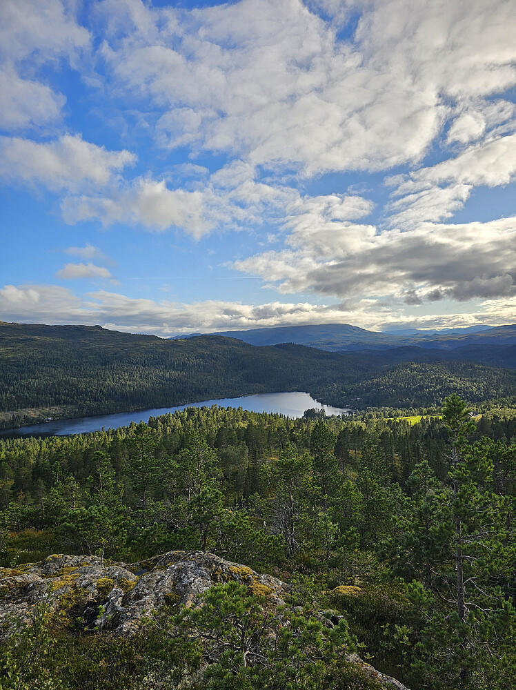 Frilsjøen