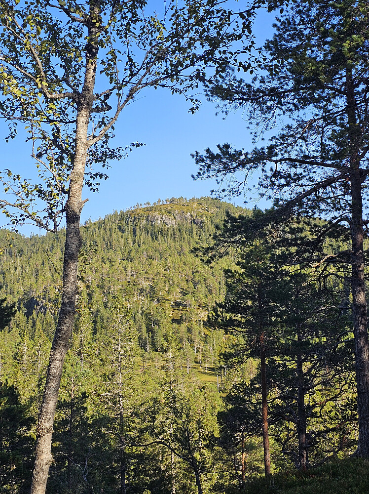 Høydalskammen