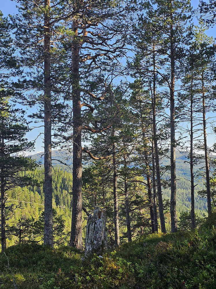 Grefstadfjellet