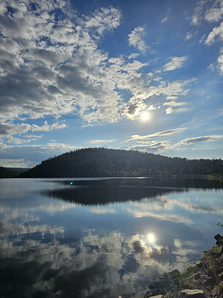 Høgåsen