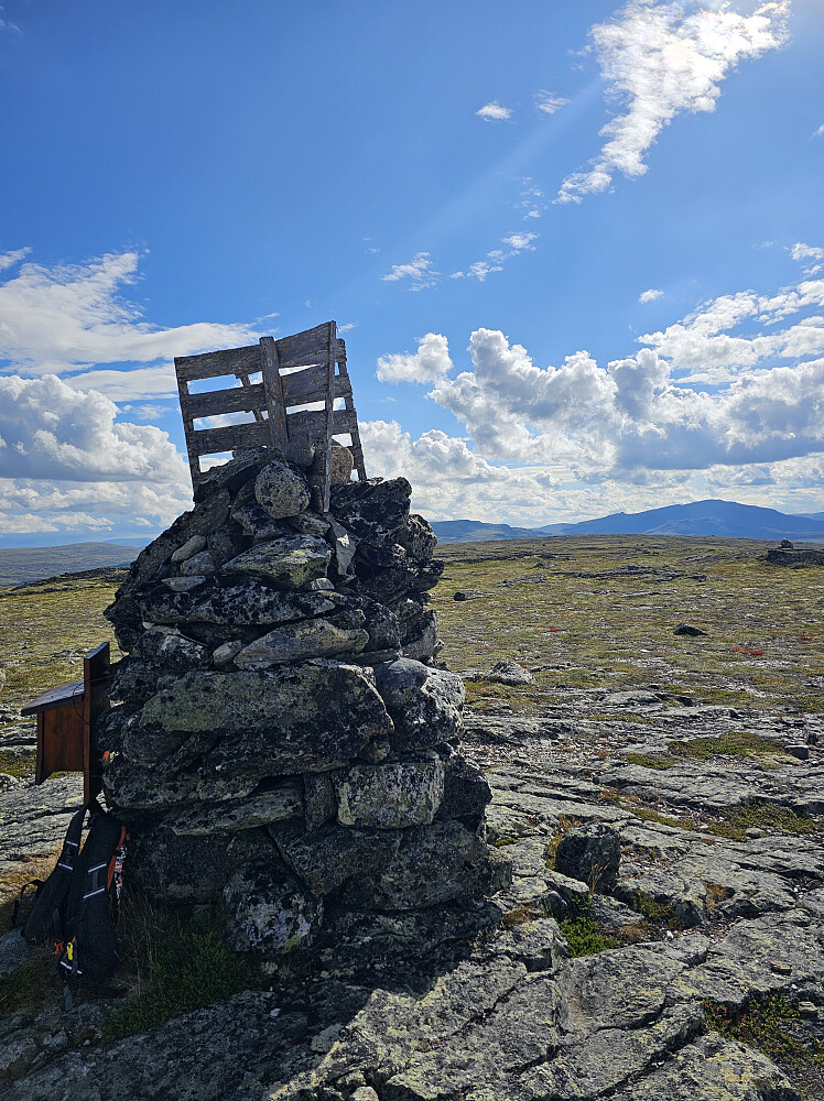  Næringhøa