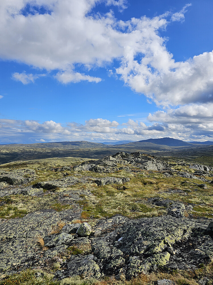 Fra Gråhøa mot Orkelhøene
