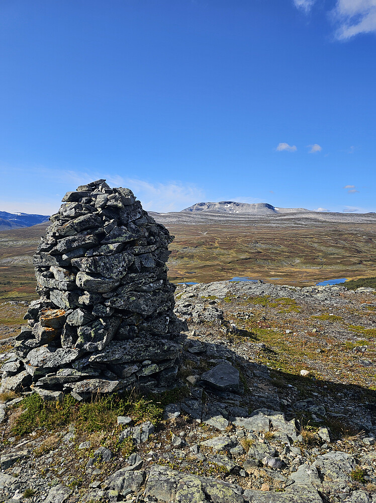 Vardhøa