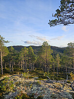 Gabrielsen68_20250926_68d62e7e0b1e6.jpg