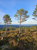 Gabrielsen68_20250926_68d62e819fff3.jpg