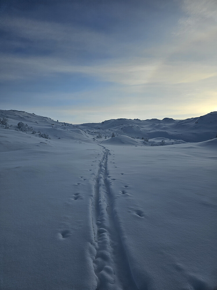 -20 grader og helt vindstille