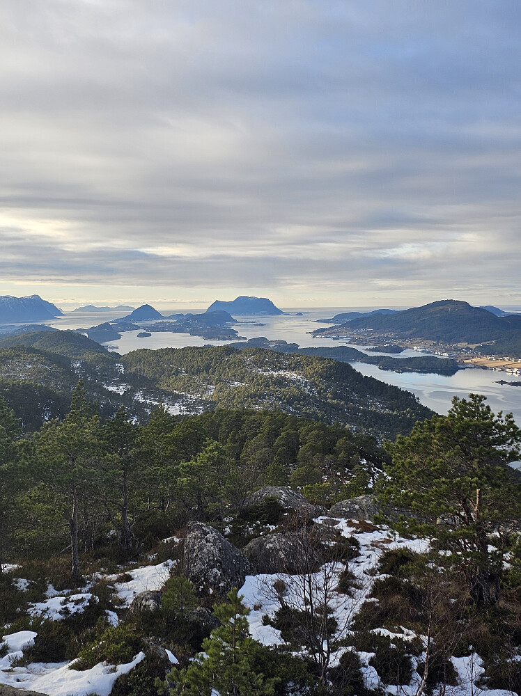 Utsikt mot Spjelkavika og Ålesund
