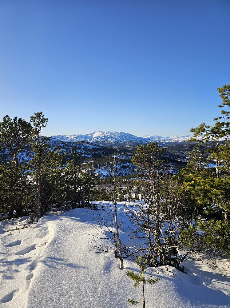 Høgberget