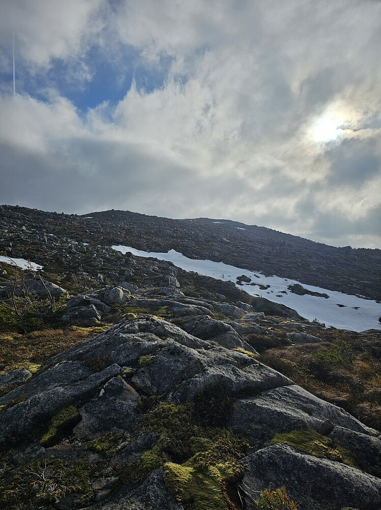 Litt grått fra morgenen. Barmark stort sett.