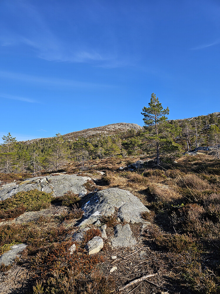 Toppen i sikte.