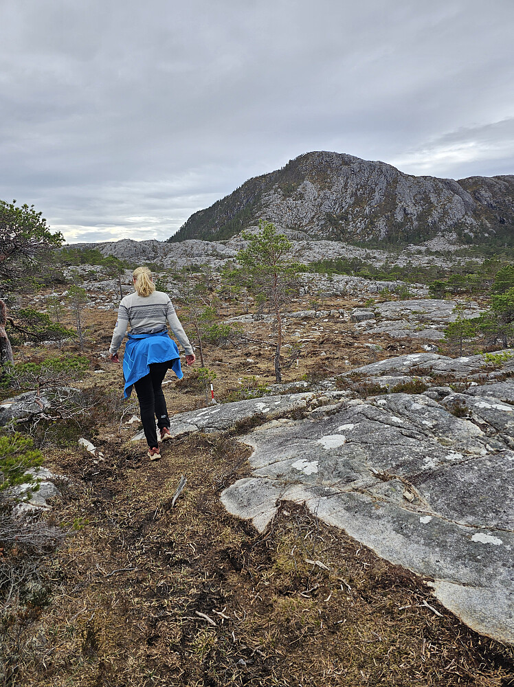 Snarvei til Tonningen