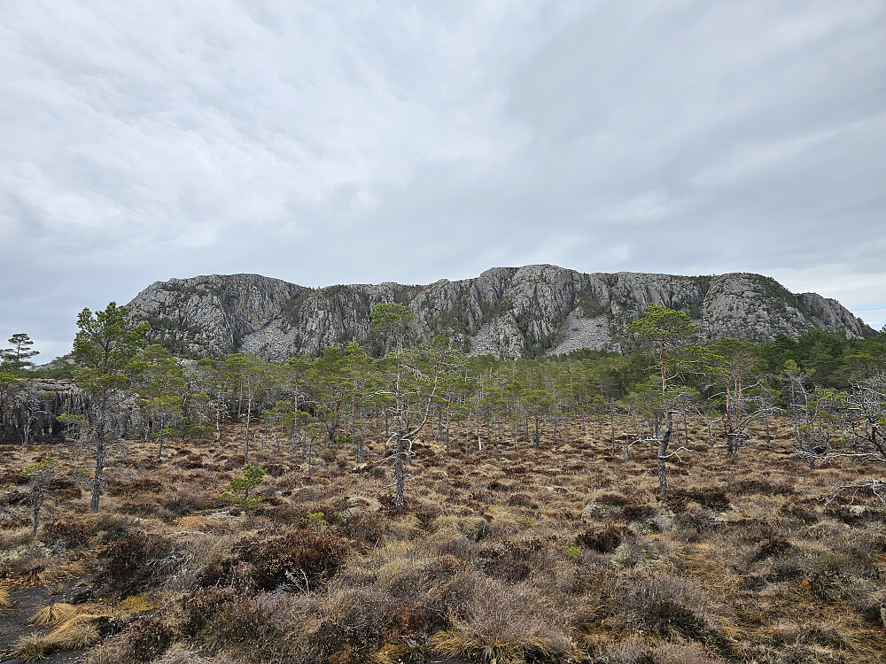 Tonningen