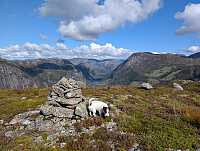 kstolen_20250913_68c535c11f582.jpg