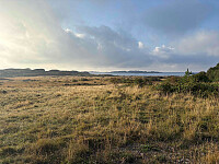 paalvic_20250830_68b2a308042ef.jpg