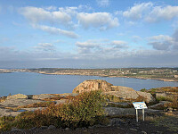 paalvic_20250830_68b2a30b35eab.jpg