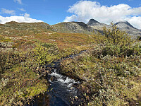 paalvic_20250913_68c57d42985f8.jpg