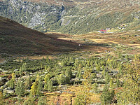 paalvic_20250913_68c57d4450c06.jpg