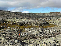 paalvic_20250928_68d93dae9c04f.jpg