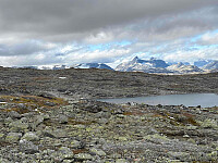 paalvic_20250928_68d93db176524.jpg