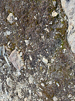 paalvic_20250928_68d93db2efdeb.jpg