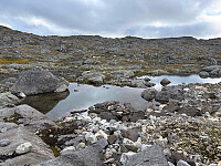 paalvic_20250928_68d93dbc74509.jpg
