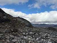 paalvic_20250928_68d93dbe27bdb.jpg