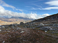 paalvic_20250928_68d93dc3c0d48.jpg