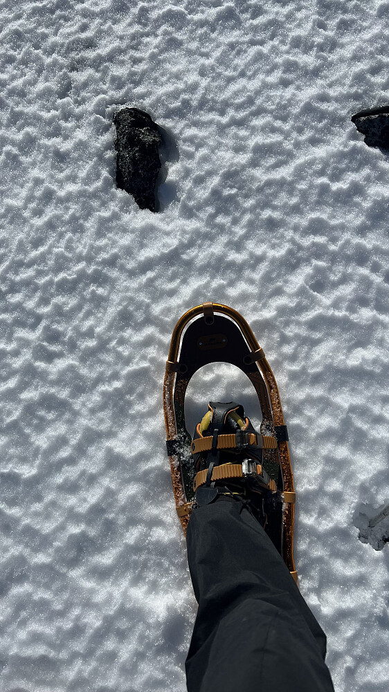 Tok på trugene de siste 3 kilometerne mot den snøkledde toppen