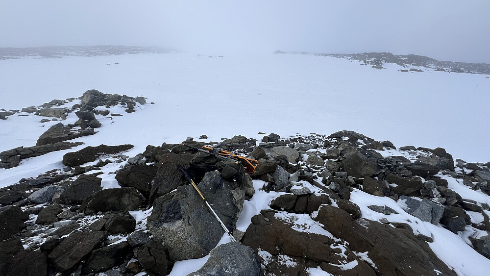 Truger på fra ca. 1900 moh og over Loftet helt ned til steinura overtok igjen ned til bandet mot Veslfjelltinden