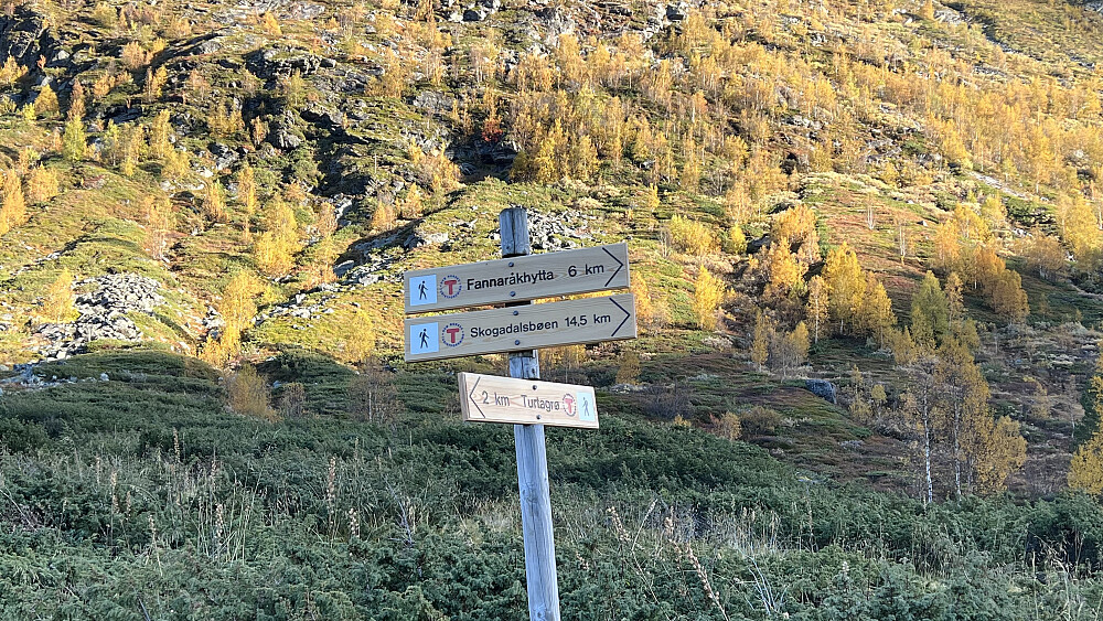 Herlig med T-merket løype