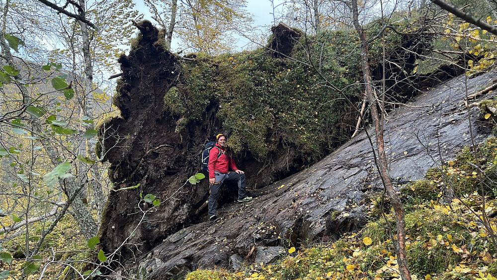 Morten poserer foran et skikkelig rotvelt etter Amys herjinger natten i forveien