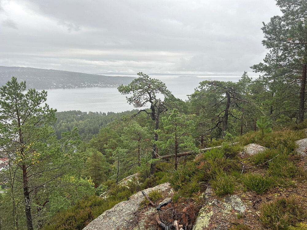 Utsikt sørostover mot Hurumhalvøya nærmest og Østfold langt baki der.